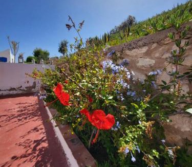 Moulay Bouzarqtoune House | Dar Janoub