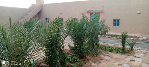 Hassilabied Bed & Breakfast | DAR MIRA DUNES Hassilabiad-Merzouga