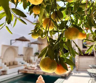 Taroudannt Bed & Breakfast | Dar Salam Souss