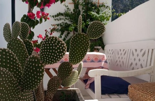 Medina of Chefchaouen Bed & Breakfast | Dar SBAA