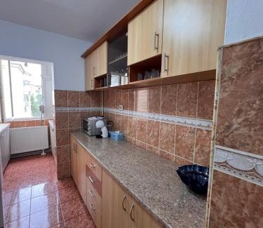 Calea Sever Bocu Apartment | Darko Residence