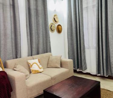 Kivukoni Apartment | Darsoftlife