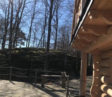 Steninge Ski Chalet | Dartmoor Cottage