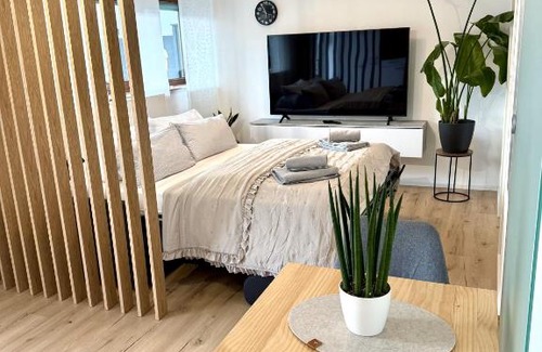Nagold Apartment | Das 1 Zimmer Apartment