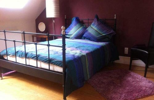 Offenburg Apartment | Das Gaestehaus