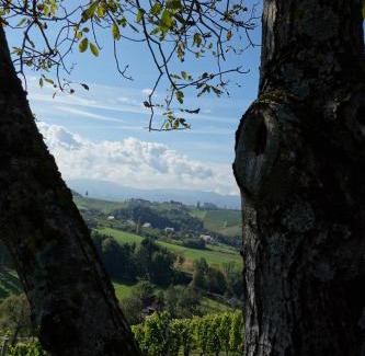 Ratsch House | Das Weinberghaus