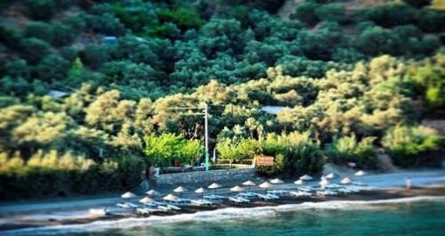 Hayitbuku Bed & Breakfast | Datca Masal Gibi