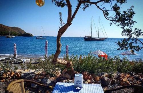 Hayitbuku Bed & Breakfast | Datca Masal Gibi