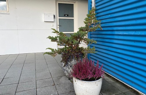Selfoss Apartment | David's apartment