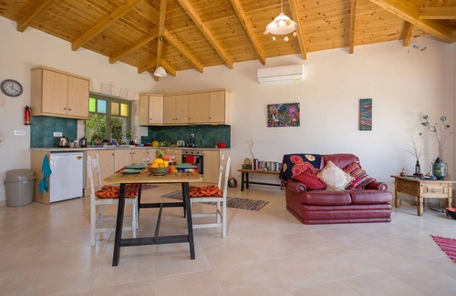 Vasilikos House | David's Villas - Villa Angela Open Plan with infinity Pool