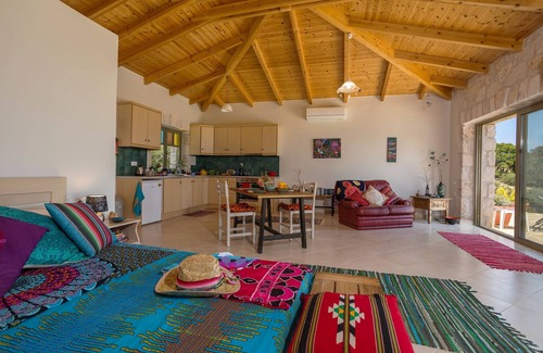 Vasilikos House | David's Villas - Villa Angela Open Plan with infinity Pool