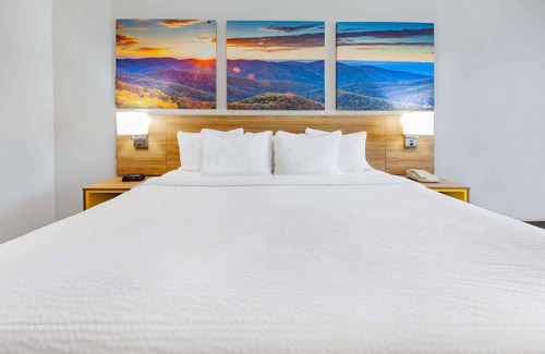 Hollins Hotel | Days Inn by Wyndham Roanoke/Hollins Near I-81
