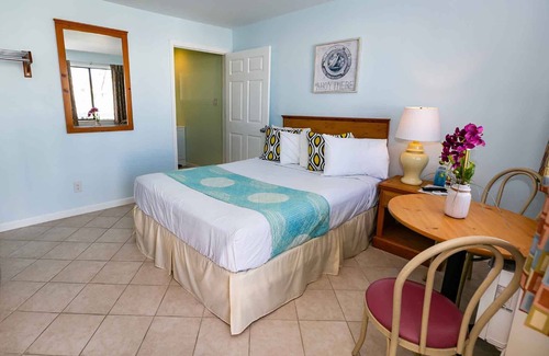 Wildwood Hotel | Daytona Inn and Suites - Single Queen