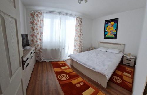 Cavnic Apartment | DDDD Apartament