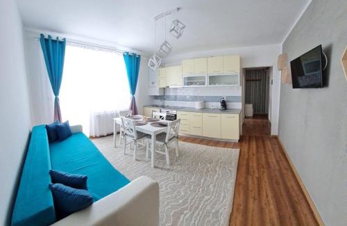 Cavnic Apartment | DDDD Apartament