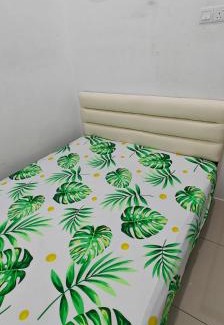 Hutan Kampung House | Ddiana Alor Setar Wifi 4 Airconds