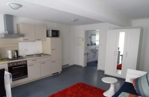 Biberach an der Riss Apartment | Cozy 1-room apartment with terrace. Perfect for business travelers