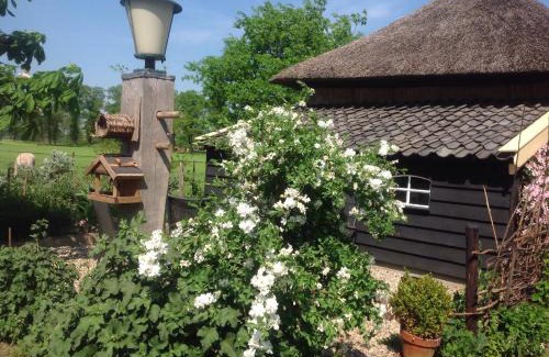 Markelo Bed & Breakfast | De Bolderie