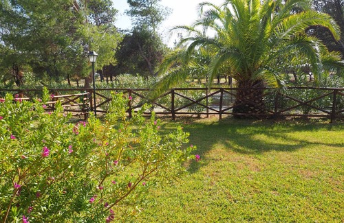 Botricello Apartment | De Grazia Holiday Home Botricello directly on the Sea