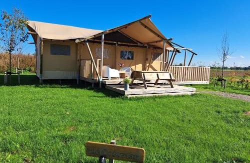 Kekerdom Other | De Hazelaarshof- luxe XL-glampingtent (7-8 personen) nabij De Millingerwaard