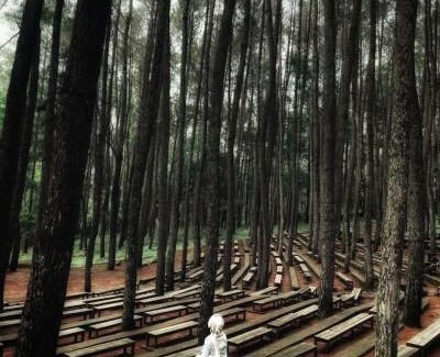 Madurejo House | De Ikut Bojo Homestay Prambanan Breksi