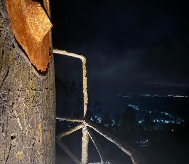 Santa Sofia Other | De Los Angeles Glamping