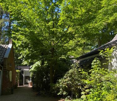 Vught Bed & Breakfast | de Merel