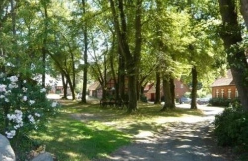 Marxen am Berge Apartment | Picturesque farm in the Lüneburg Heath, holiday apartment, pony rides