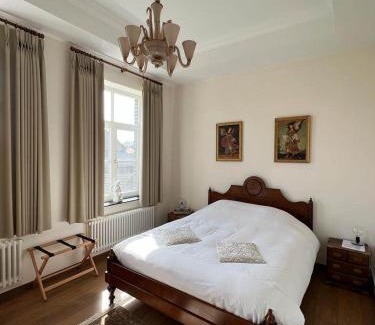 Grote-Brogel Hotel | De Pastory
