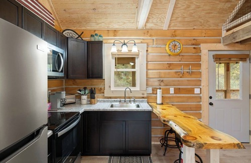 Birdseye Cabin | Deer Ridge @ Patoka Lake w/pass