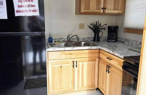 Iron River Apartment | Deer Trail Resort Lakeside 4 on Lake Delta