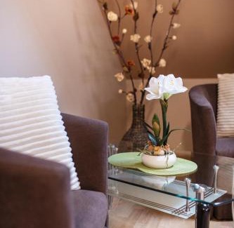 Sarvar Apartment | Delfin Apartman