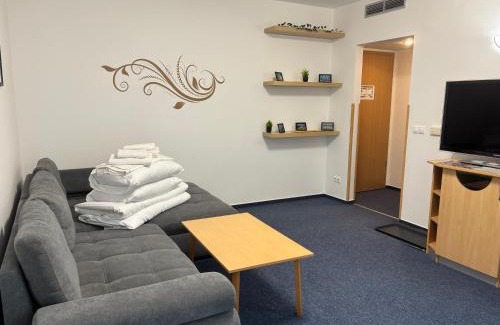 Zalakaros Apartment | Delfin Apartman Zalakaros