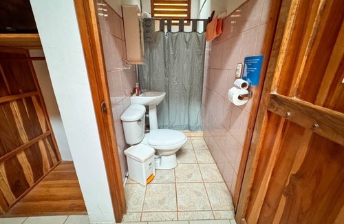 Palma Hotel | Delfines del Golfo