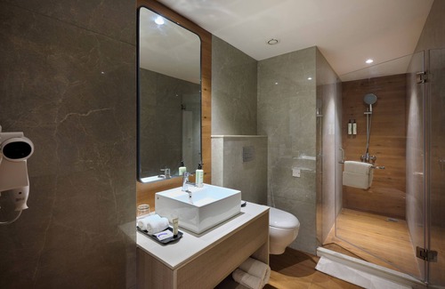 Faridabad Hotel | Delite Sarovar Portico Faridabad
