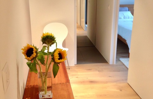 Carouge Apartment | Deluxe Apartment, Vieux Carouge, Geneva's hidden secret