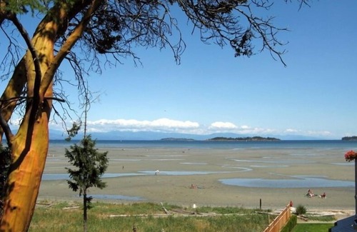Regional District of Nanaimo Condo | Deluxe Rathtrevor Beachfront Vacation Home
