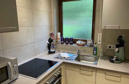 Pfeffingen Apartment | Deluxe room 1, 32sqm, 1st floor, max. 2 persons
