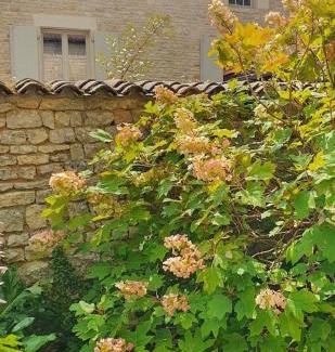 Verteuil-sur-Charente House | Demeure VERTEUILLAISE