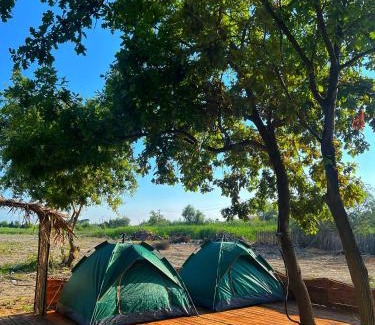 Sakës Other | Demi camping