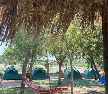 Sakës Other | Demi camping