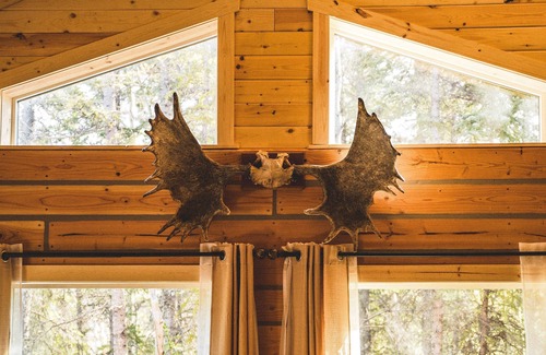 Healy Cabin | Denali Moose Cabin, Entire Cabin, 2 Private Bedrooms, 3 beds