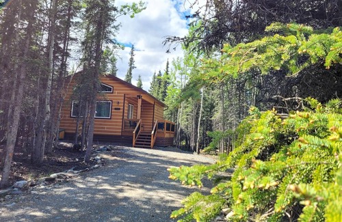 Healy Cabin | Denali Moose Cabin, Entire Cabin, 2 Private Bedrooms, 3 beds