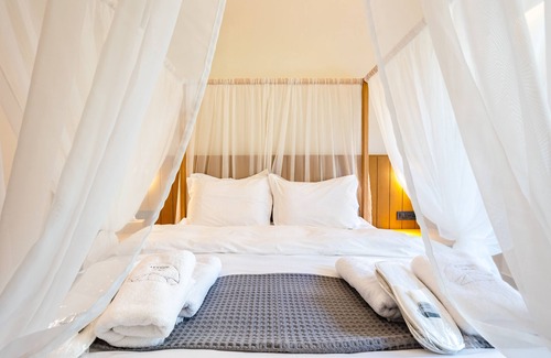 Artemisia Hotel | DENTHIS