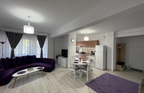 Gura Humorului Apartment | Deny's Apartament