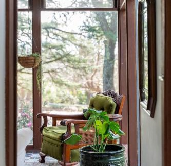 Wentworth Falls Apartment | Deodar Cottage Amid Century Old Trees