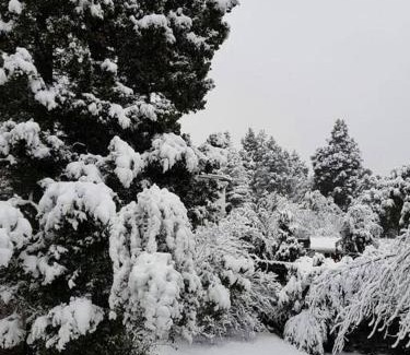 San Carlos de Bariloche Apartment | Departamento estilo montaña