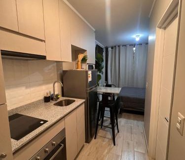 Pitrufquen Apartment | Departamento central, Pitrufquén
