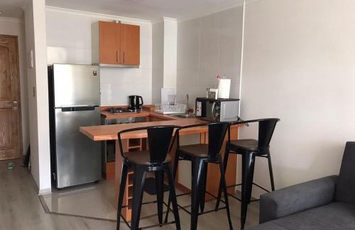 Pucon Apartment | Departamento en Pucon