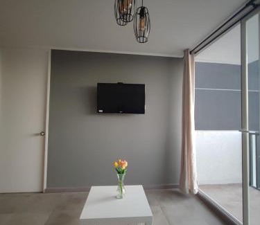 La Cisterna Apartment | Departamento Evert14